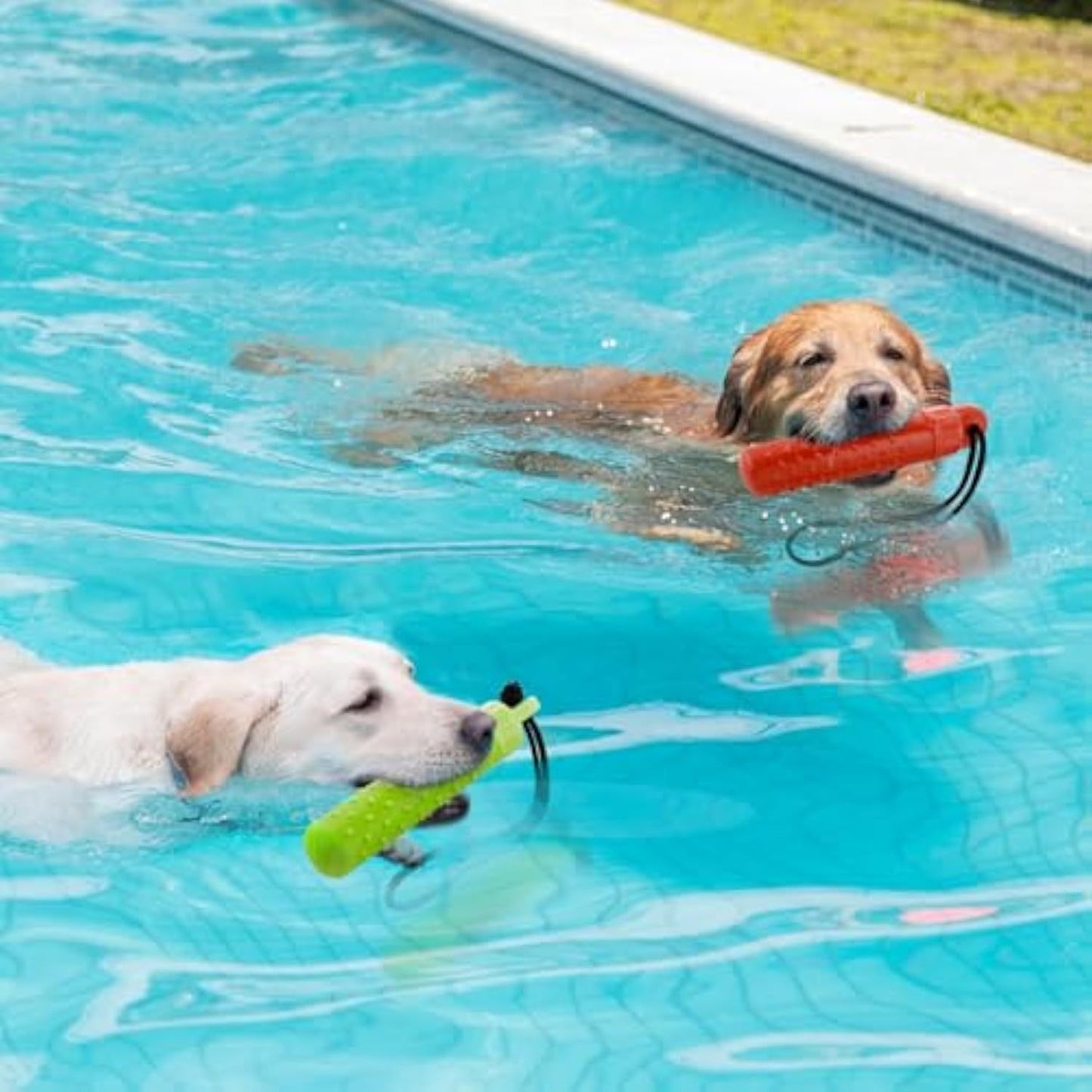 Schwimmendes Spielzeug mit Futterfach